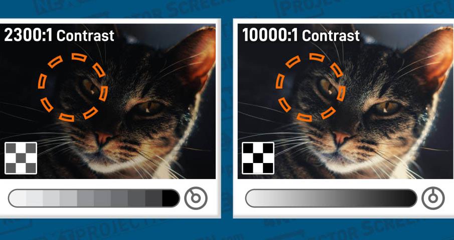 Feasible Solutions for Solving Customer Pain Points in LCD Displays Feasible Solutions for Solving Customer Pain Points in LCD Displays