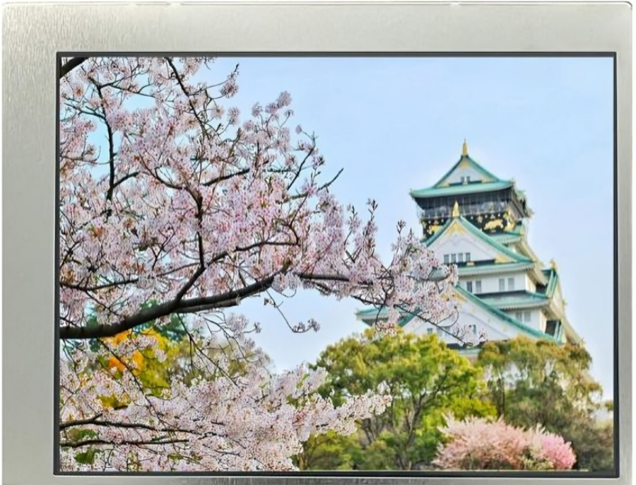 TCG057VGLAAANN-GN20: Designed for Tough Industrial Handhelds TCG057VGLAAANN-GN20: Designed for Tough Industrial Handhelds